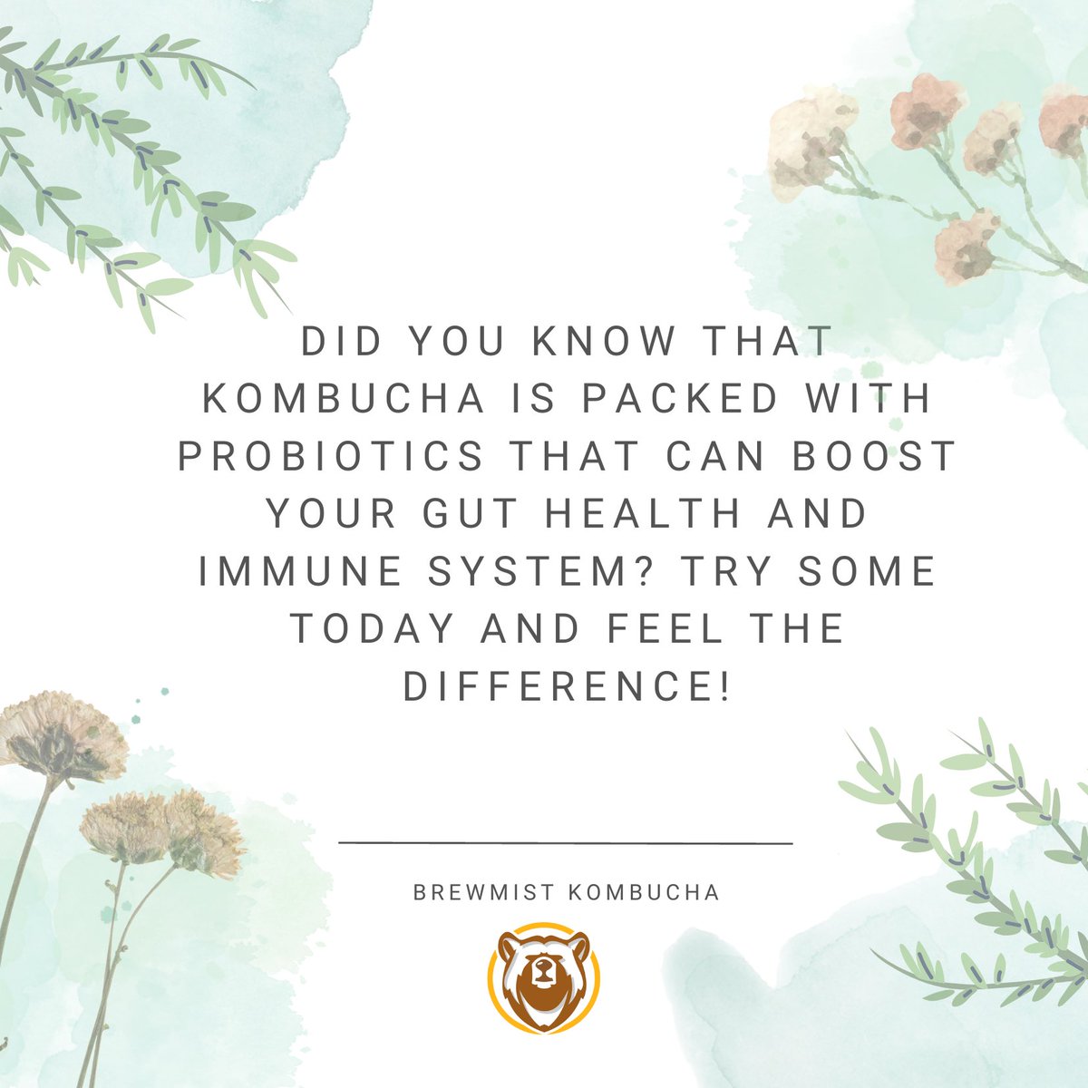 realbrewmist's tweet photo. Did you know that kombucha is packed with probiotics that can boost your gut health and immune system? Try some today and feel the difference!

https://t.co/yfHGeOI2K0

#brewmist #kombucha #KombuchaPortugal #microbrewery #guthealth #portugal https://t.co/1L6dfMP1TU