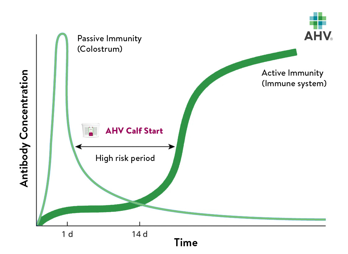 𝗕𝗿𝗶𝗱𝗴𝗲 𝘁𝗵𝗲 𝗶𝗺𝗺𝘂𝗻𝗶𝘁𝘆 𝗴𝗮𝗽 𝘄𝗶𝘁𝗵 𝗔𝗛𝗩 𝗖𝗮𝗹𝗳 𝗦𝘁𝗮𝗿𝘁 🐄

Get your calf off to the best start with 𝗔𝗛𝗩 𝗖𝗮𝗹𝗳 𝗦𝘁𝗮𝗿𝘁. It improves overall immune support during the first weeks of life and expected challenges 🙌🏼