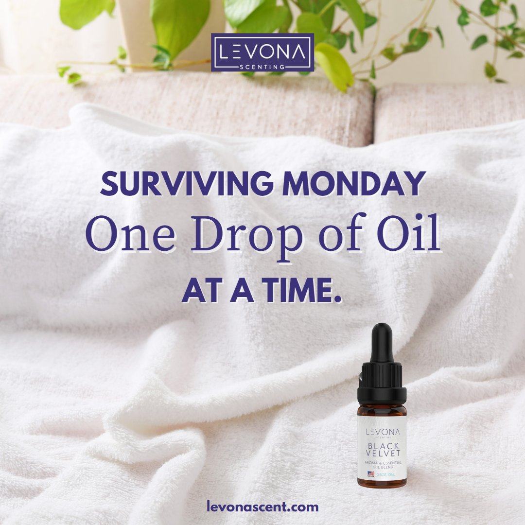 Fueling up for the week ahead, one drop at a time.
Happy Monday everyone! 😊

#levonascent #MondayMotivation #mondayquote #essentialoil #essentialoils #aromatherapy #aromafragrance #fragranceoil #oildiffusers #aromatherapyservice #scent #mondaywellness #wellness #relaxation