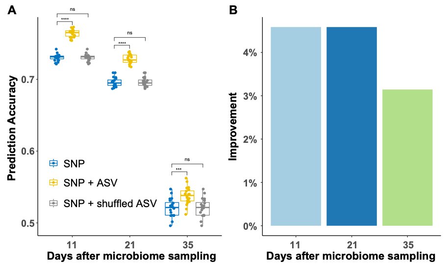 Jinliang Yang (@jinliangyang) on Twitter photo New preprint led by our <a href="/unlagrohort/">Nebraska Agronomy and Horticulture</a> and <a href="/UNL_PSI/">UNL PSI</a> grad student <a href="/zhikai16/">zhikai</a> --- microbiome-enabled #GenomicSelection improves prediction accuracy for N-related traits in maize. This study reveals the role of beneficial microbes for #SustainableAgriculture biorxiv.org/content/10.110… New preprint led by our <a href="/unlagrohort/">Nebraska Agronomy and Horticulture</a> and <a href="/UNL_PSI/">UNL PSI</a> grad student <a href="/zhikai16/">zhikai</a> --- microbiome-enabled #GenomicSelection improves prediction accuracy for N-related traits in maize. This study reveals the role of beneficial microbes for #SustainableAgriculture biorxiv.org/content/10.110…