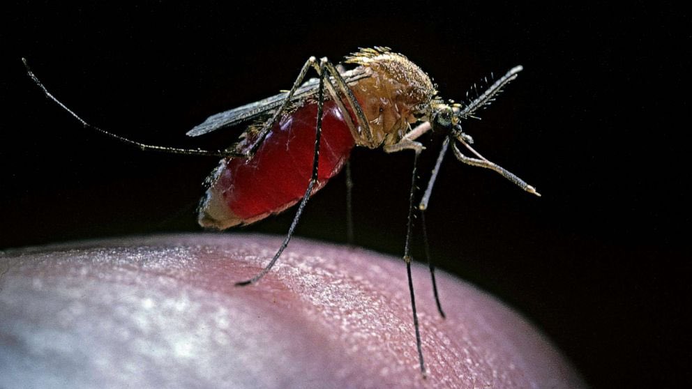 Anthony I. Okara tweet media