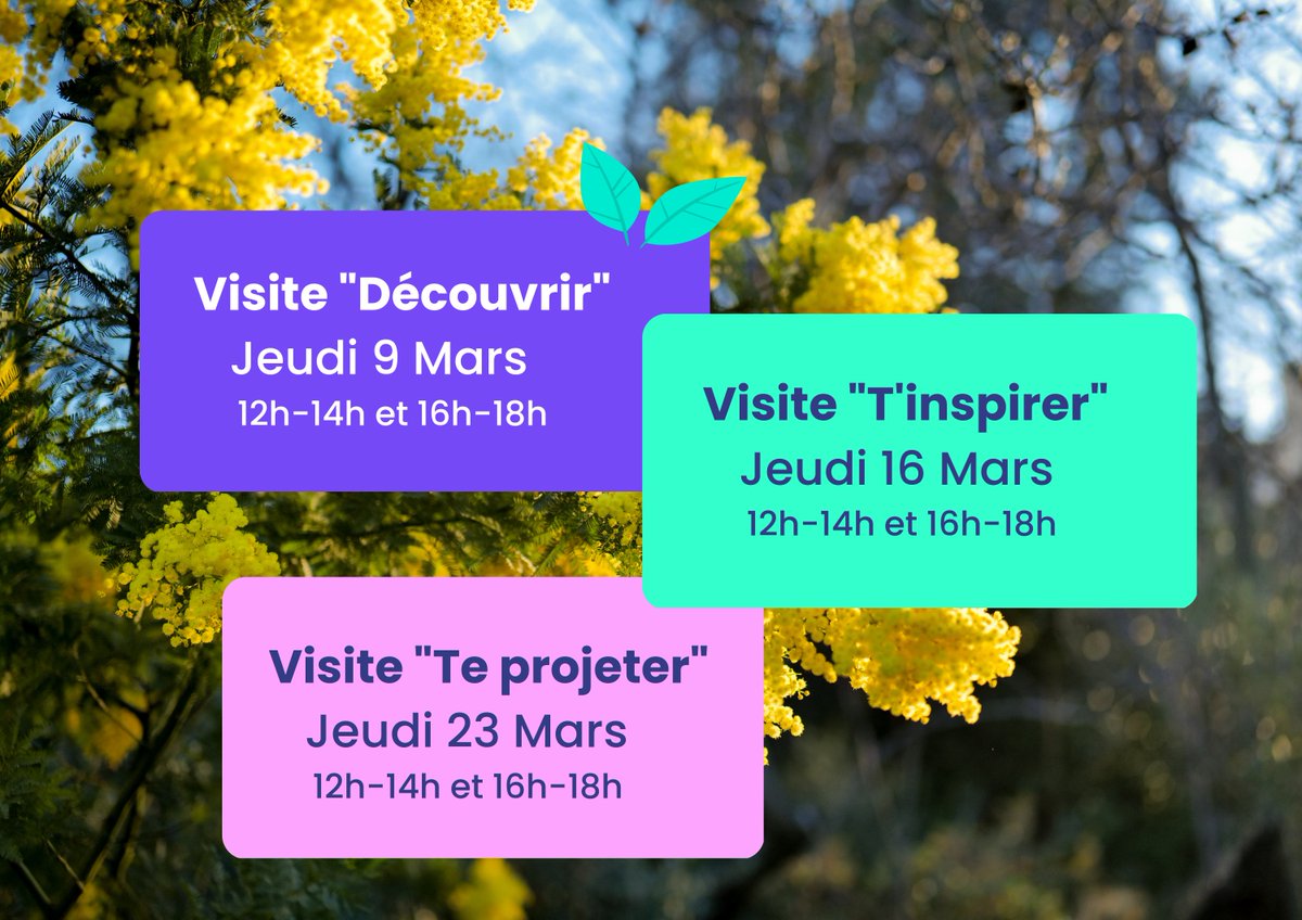 LicaEurope's tweet photo. 🦔🌱 En ce doux mois de Mars, le Tiers Lab se prépare à accueillir le printemps et TOI ! 🔽🔽
▶️ Par ici pour t'inscrire : https://t.co/TrP6b16qj7
#tierslab #visites #marseille #tierslieux #transitionécologique https://t.co/XL6SjrUPj0