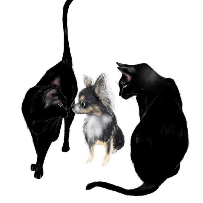 遊ぶ? #イラスト #猫