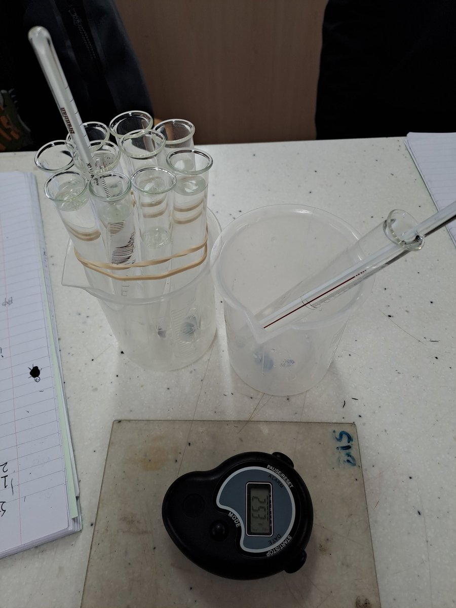 Pu94Science's tweet photo. Brrrrrrr. It's cold today in the antarctic as we model heat loss from huddling penguins.

#CooperSTEM https://t.co/oPbNX73El5