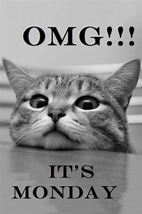 LinwoodCareHome's tweet photo. #happymonday, I know that dreaded day is with us again! though on a #positivenote we wouldn't be able to have the #weekends without the #Monday's https://t.co/7LPepWQeKG