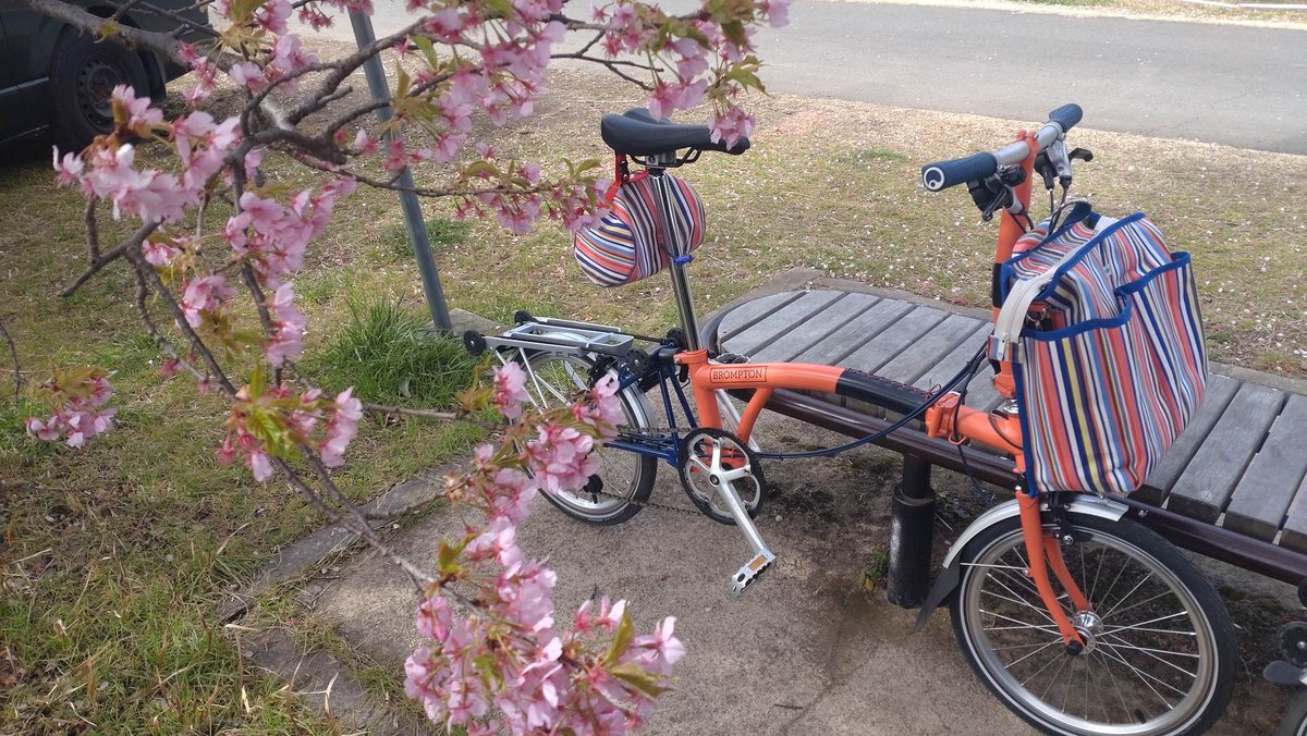 cyclonechee's tweet image. 【SAKURA×BROMPTON】
伊豆の国シクロクロスにブロンプトンを持ち込んで狩野川沿いの河津桜と📷🌸
午前中は青空ものぞいて春らしいお天気でした。
今度は仕事のついでじゃなく、コーヒーセットでも持ってゆっくりお花見したいな
 #ブロンプトン #bromptonlife #brompton #河津桜 #お花見ライド