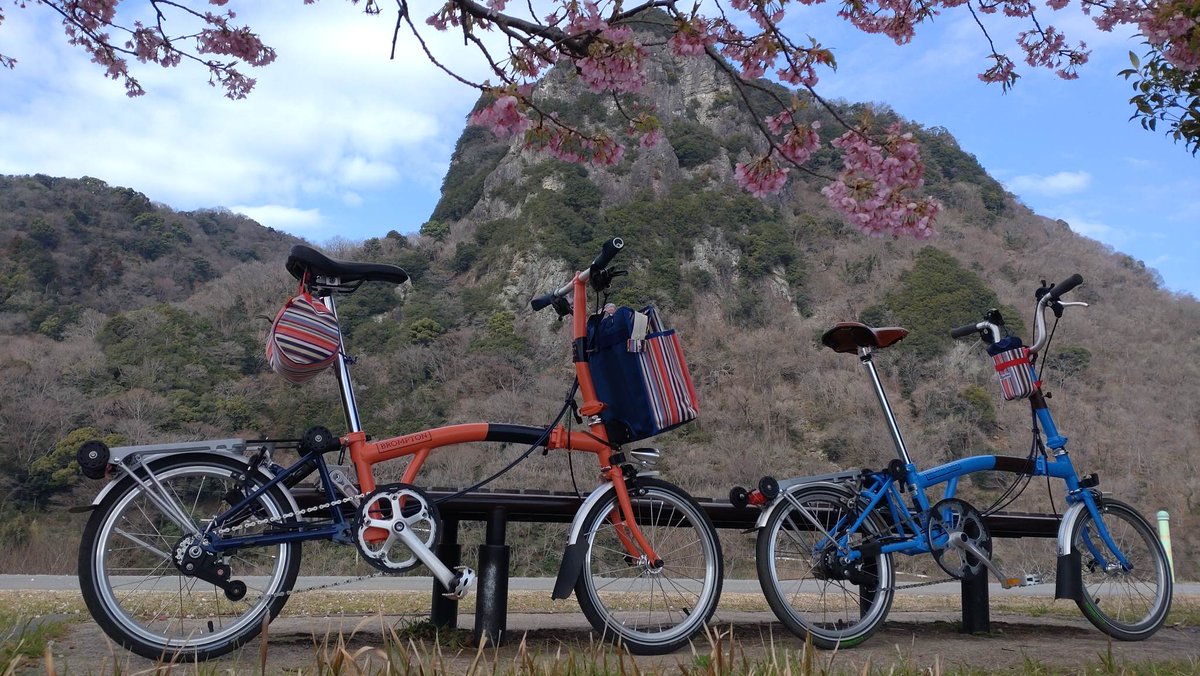 cyclonechee's tweet image. 【SAKURA×BROMPTON】
伊豆の国シクロクロスにブロンプトンを持ち込んで狩野川沿いの河津桜と📷🌸
午前中は青空ものぞいて春らしいお天気でした。
今度は仕事のついでじゃなく、コーヒーセットでも持ってゆっくりお花見したいな
 #ブロンプトン #bromptonlife #brompton #河津桜 #お花見ライド
