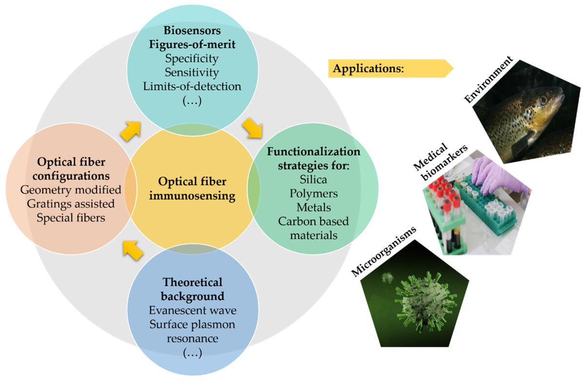 Biosensors_MDPI's tweet photo. Review by Maria Simone Soares, Miguel Vidal, Nuno F. Santos, Florinda M. Costa, Carlos Marques, Sónia O. Pereira and Cátia Leitão | Immunosensing Based on Optical Fiber Technology: Recent Advances https://t.co/oJVaH4IwxZ
@MDPIOpenAccess #Immunosensing #Optical #Fiber https://t.co/7N8DQuI8WL