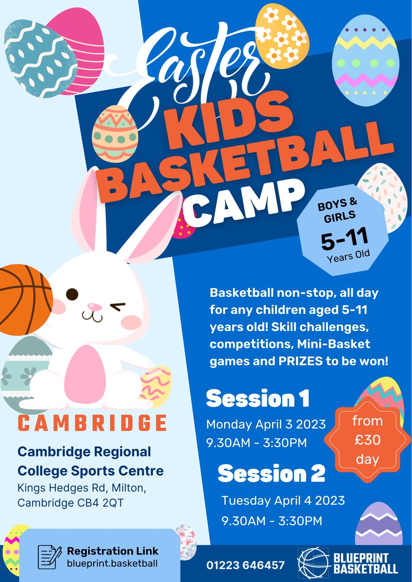 Blueprint Basketball tweet media