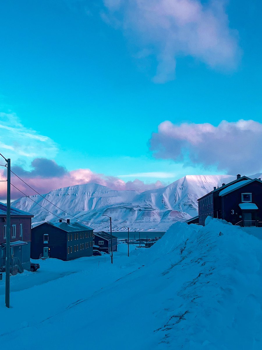 Baghera__Jones's tweet image. Passez une belle journée