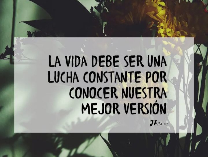 susiortega's tweet photo. ¡ Muy buena #semana !
#NuestraMejorVersion
#LaBusquedaDiaria
#LunesDeVibrarBonito https://t.co/czxISeHq3k