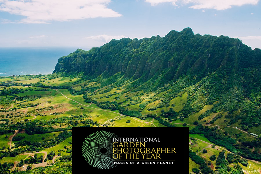 What the! I’ve been awarded 'Commended' by the #IGPOTY competition (International Garden Photographer of the Year). I am SO grateful.

Our world is astonishing.

<a href="/igpoty/">igpoty</a> <a href="/GdnMediaGuild/">Garden Media Guild</a> #igpoty16 #gardenphotography #gardenphotographer #gardendesign