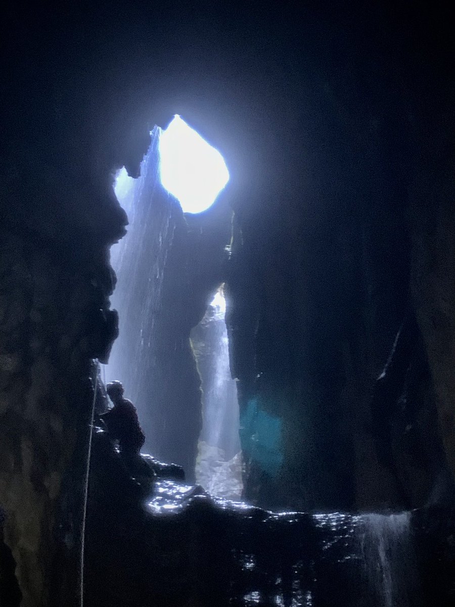 Ane Appelt tweet media