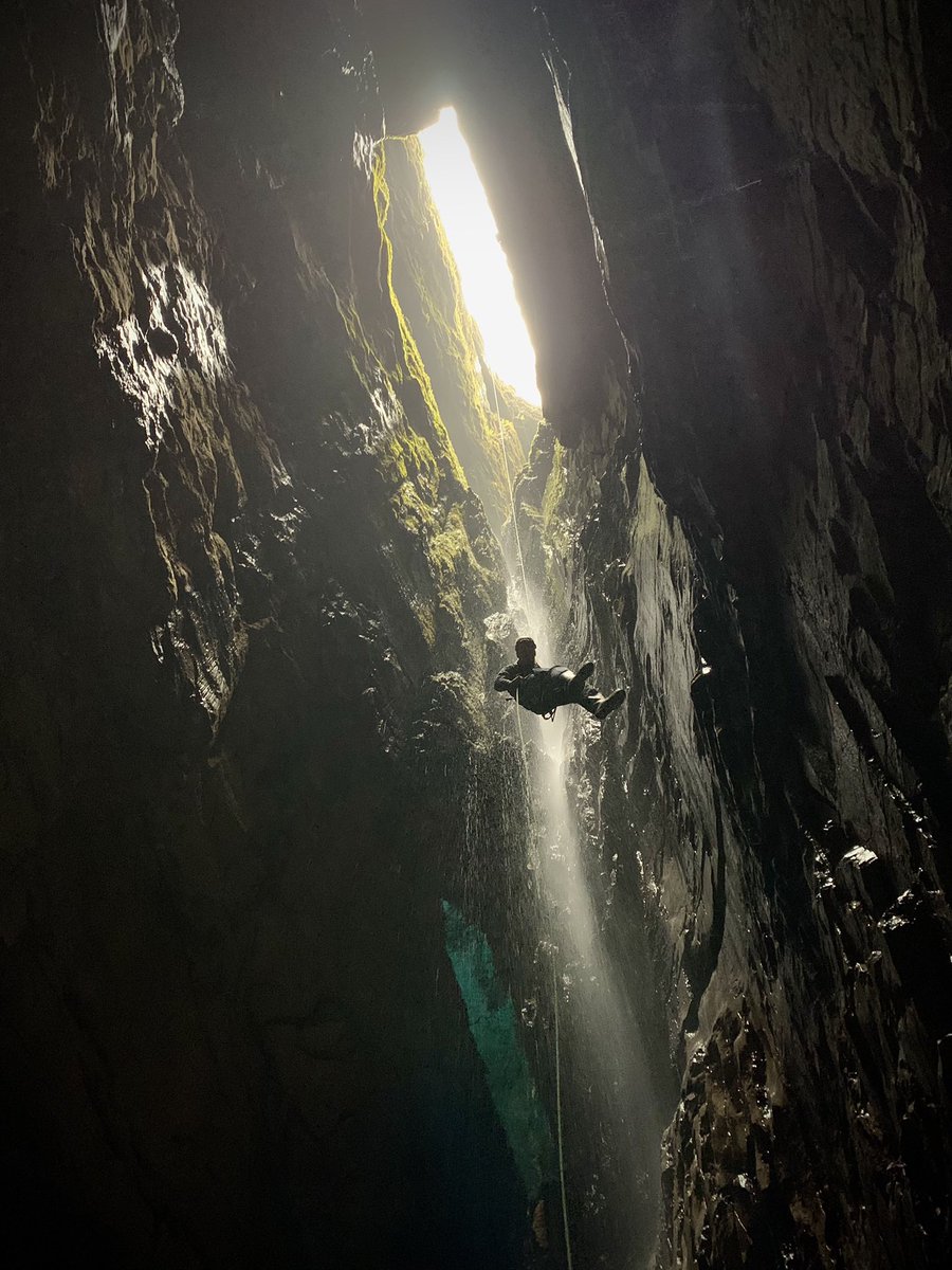 Ane Appelt tweet media