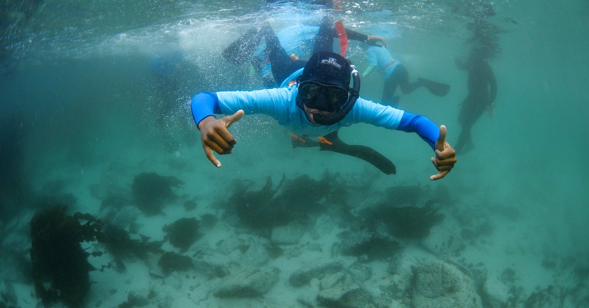 sharkcentre's tweet photo. On Friday, our brave #MarineExplorers ventured out to explore the #KelpForest for the very first time.
It was an exciting day filled with overcoming fears and shrieks of pure joy. The learners also spotted an #octopus hiding in its den, a pyjama catshark and a dark #shyshark! https://t.co/IxdmFSRVTr