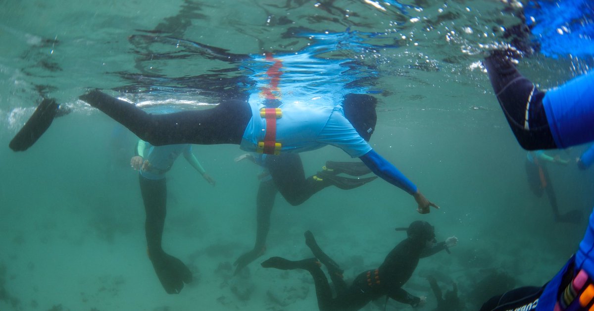 sharkcentre's tweet photo. On Friday, our brave #MarineExplorers ventured out to explore the #KelpForest for the very first time.
It was an exciting day filled with overcoming fears and shrieks of pure joy. The learners also spotted an #octopus hiding in its den, a pyjama catshark and a dark #shyshark! https://t.co/IxdmFSRVTr