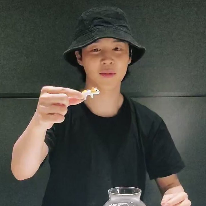 stussyjimin's tweet image. calico cat holding a calico cat