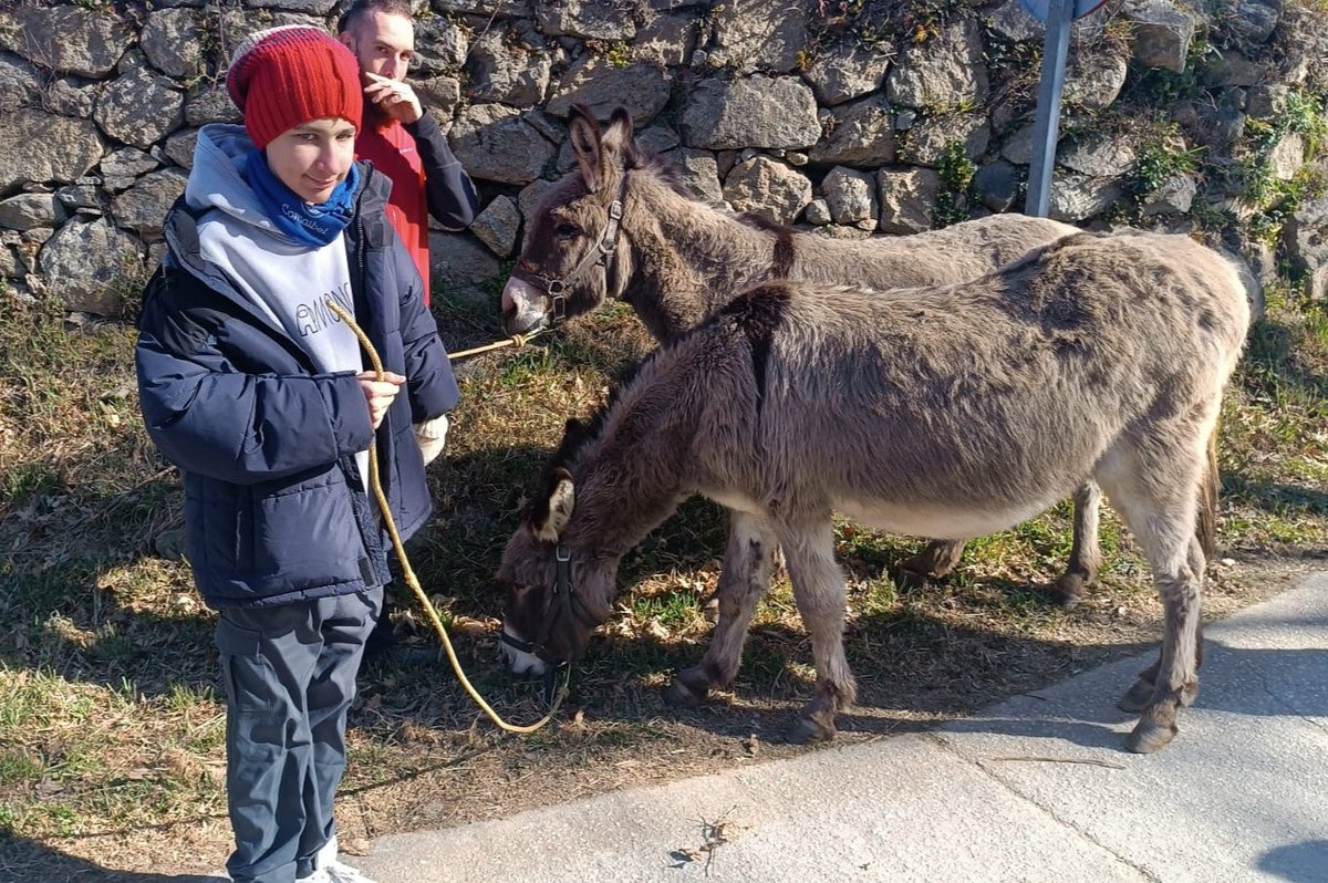 EsferaFundacion's tweet photo. Los #adolescentes del #Clubdeocio han disfrutado este fin de semana del #planrural, con actividades al aire libre
Es increíble ver la evolución de estos jóvenes, por eso muchas familias recurren a este servicio que refuerza su autonomía y fomenta la relación con otros compañeros https://t.co/6ubAwZtXra