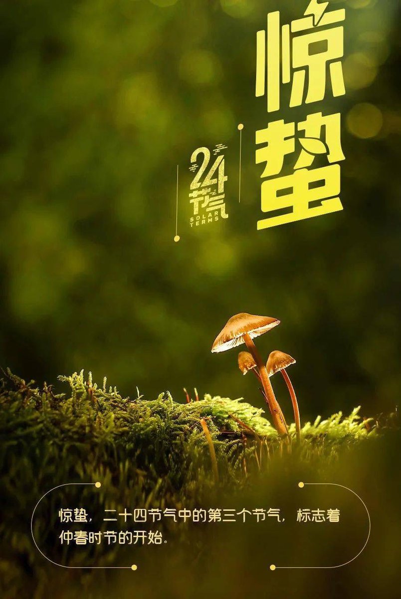 🏃打卡431天！
春雷一响，万物萌动。今日惊蛰，告别漫长的蛰伏，迎来了春暖花开，愿你带着蓬勃的朝气，向阳而生，不负春光。#跑步运动