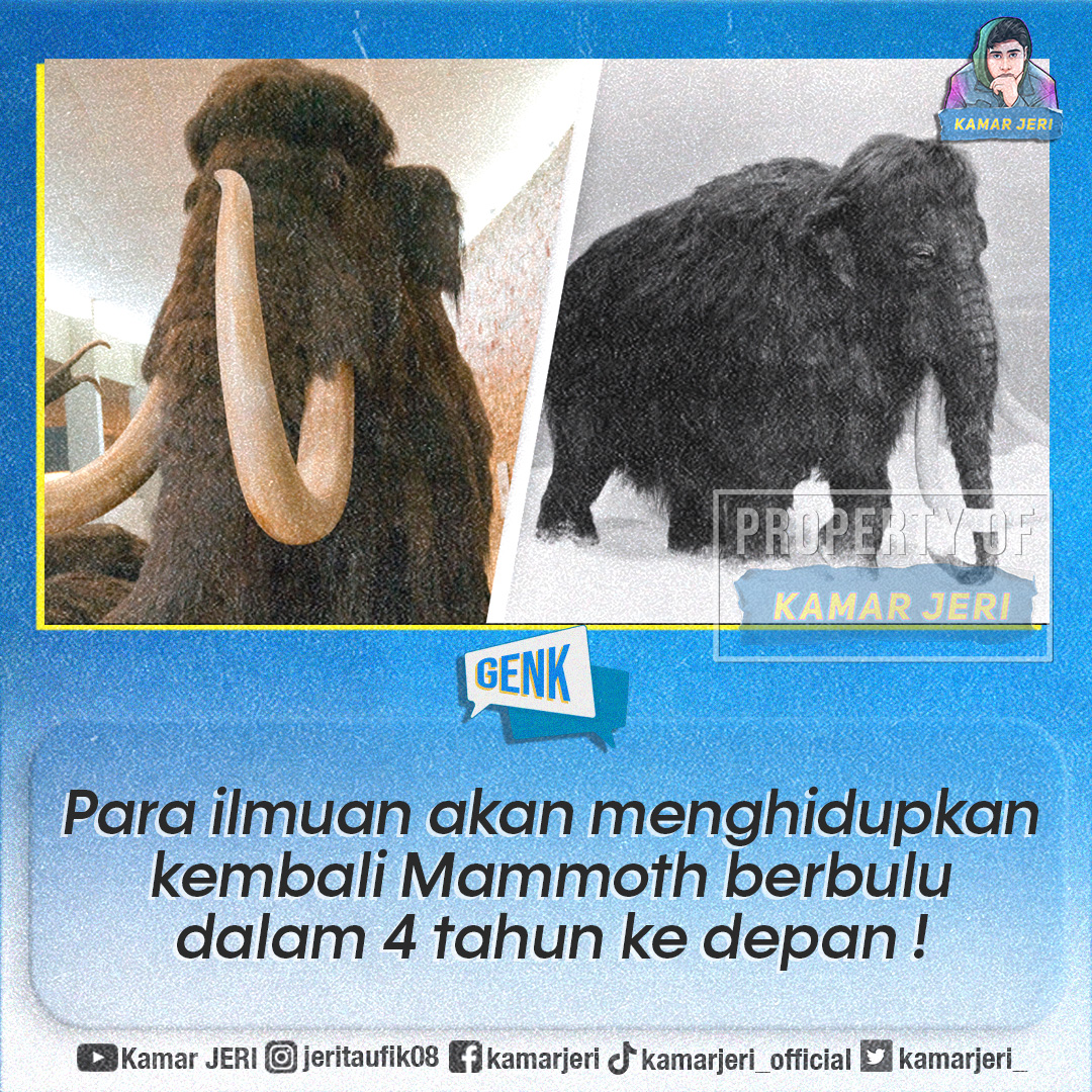 Kamar Jeri tweet media