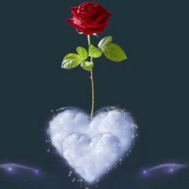 شكرآ من القلب💚
لكل من صادفتهم الرُّوح
فـ وجدت بـ قربهم الرَّاحة و السَّگينة
لـ گلِّ من مرُّوا بـ قلوبنا
فـ حلُّوا مرَّنا
و داوا بـ حبِّهم جروحنا
لكل من منحونا السَّعادة
بـ گلمة
بـ دعاء
بـ سؤال
لكل من بنوا جسراً من المحبَّة
لـ يـعبروا به إلى قلوبنا ♥️
#صباح_الخير_والسعاده