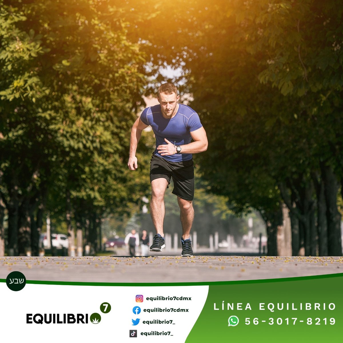 CBD Equilibrio 7 tweet media