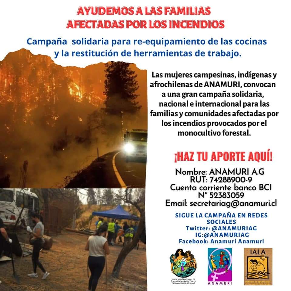 anamuriag's tweet photo. Ayudemos a las familias y comunidades afectadas por los incendios forestales, tu aporte servirá para rearmar las cocinas y herramientas de trabajo. #CampañaSolidaria #incendiosforestaleschile #FinAlModeloForestal #tierrayaguaparaelpueblo #comunasantajuana #quirihue #Anamuri https://t.co/uw4K0SkvsG