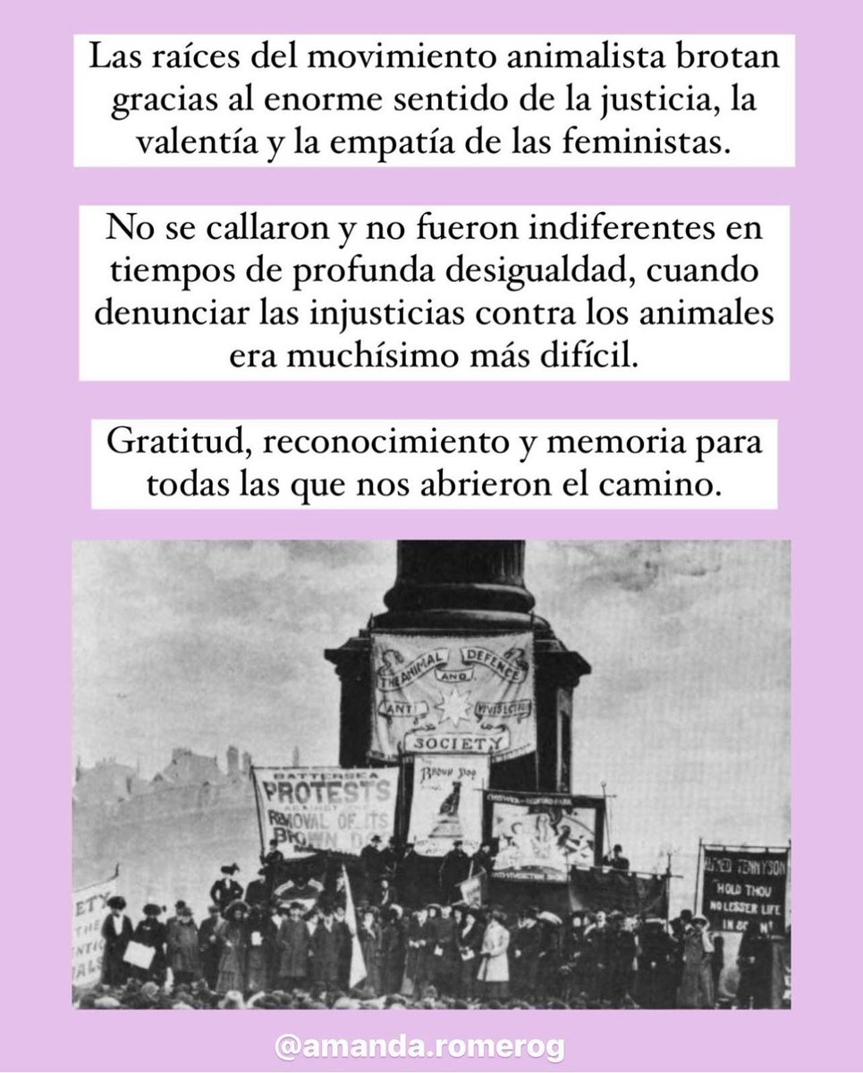Amanda Romero tweet media
