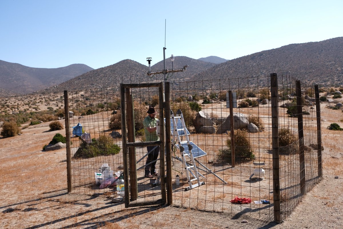 <a href="/AlexRBeer/">Alex Beer</a> and @geoMadella have just finished the yearly maintenance of our 4 weather stations in <a href="/PN_PandeAzucar/">PN Pan de Azúcar</a>, PN La Campana, PN Nahuelbuta and Reserva Santa Gracia. We hope to keep these going as long as possible in collaboration with <a href="/conaf_minagri/">CONAF - Corporación Nacional Forestal</a>