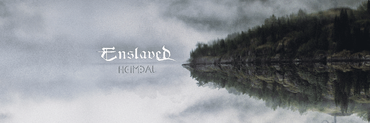 Rough Trade Dis. tweet media