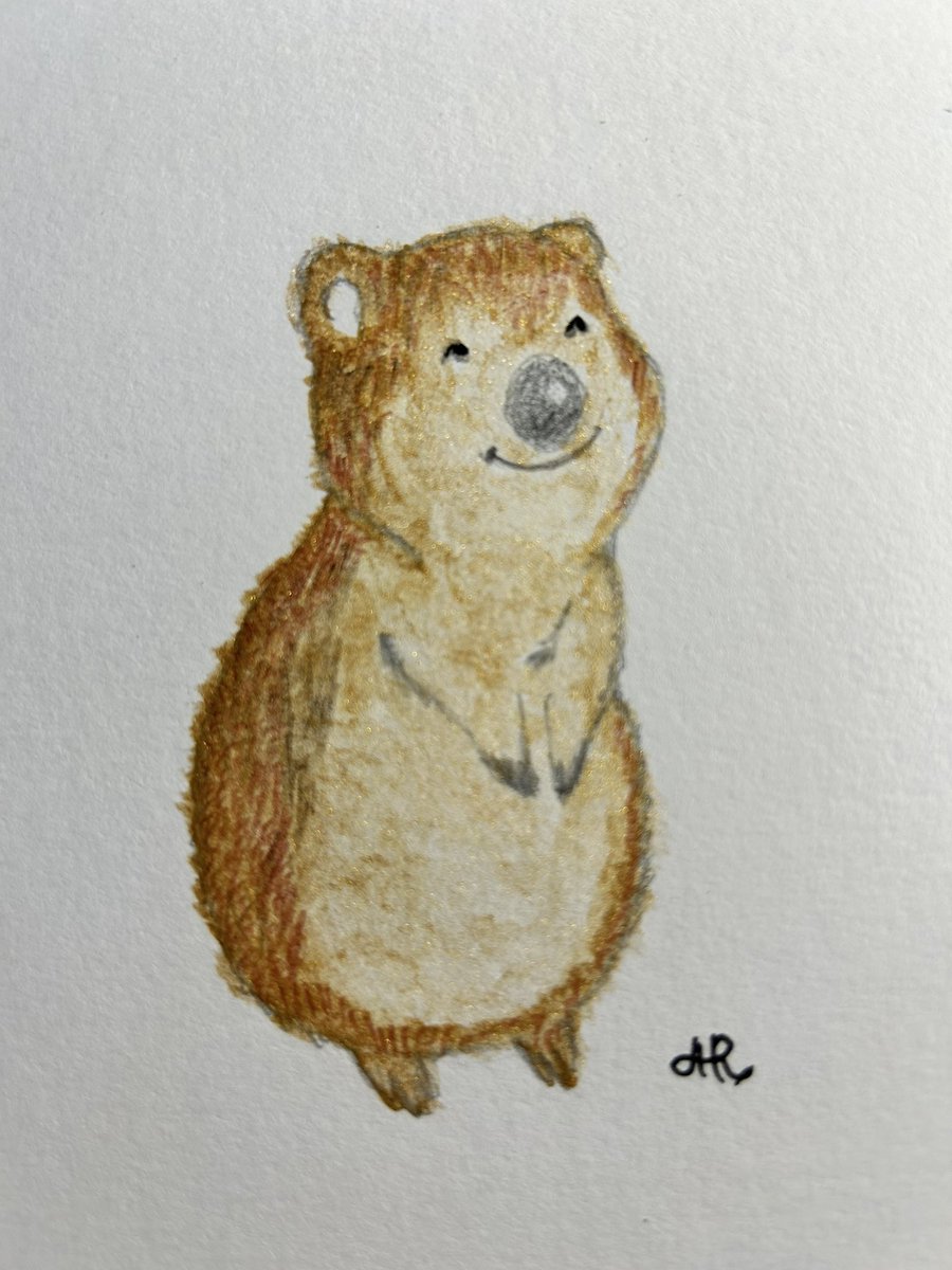This guy is supposed to be tomorrow’s prompt but I want to share him with you today @agnesbookbinder Hope he makes you smile. #quokka #Watercolor, pencil, and watercolor pencil on paper. Inspired by EloiseDraws on Pinterest.