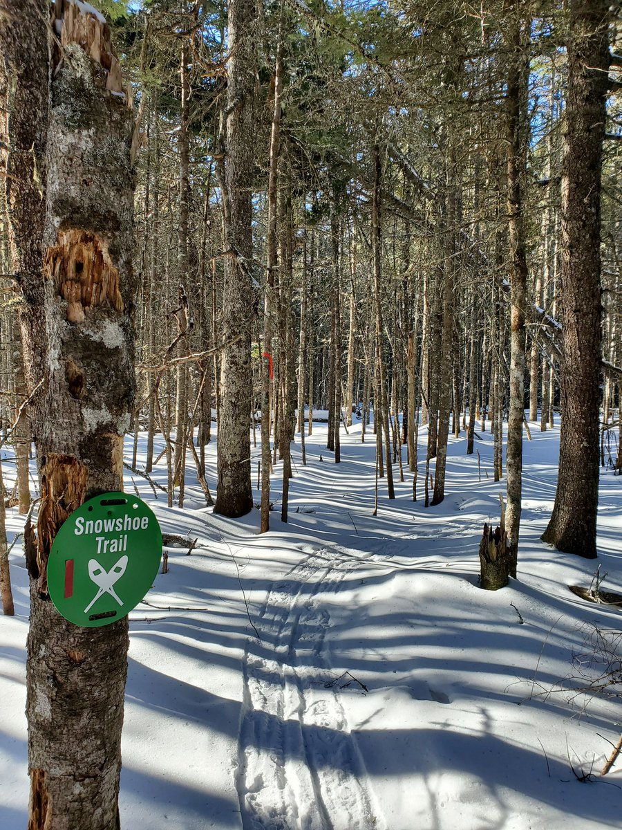 Sherrydm10's tweet photo. I am grateful to have this snowshoe/hiking trail in my neighborhood #SundayMotivation https://t.co/8z0gaEC3wv