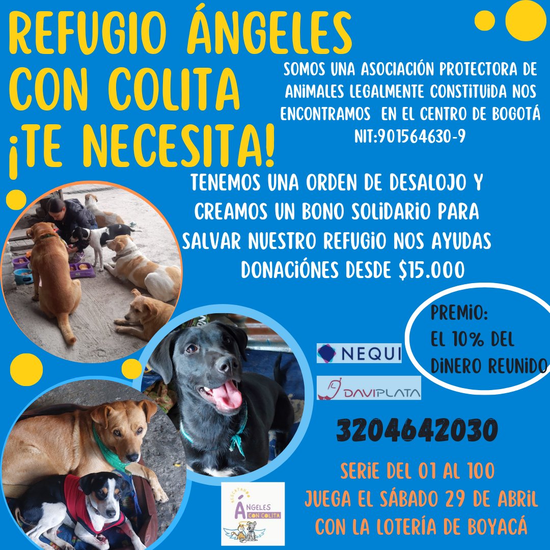 Somos ignorados 
Por muchos 😢💔
Por no ser una fundación grande 
Somos un pequeño refugio 
No tenemos lujos
Pero día a día luchamos  humildemente  para darle 
Lo mejor a nuestros 
Animalitos Rescatados 
Es muy triste la falta de apoyo
No sabemos que.mas inventar  para