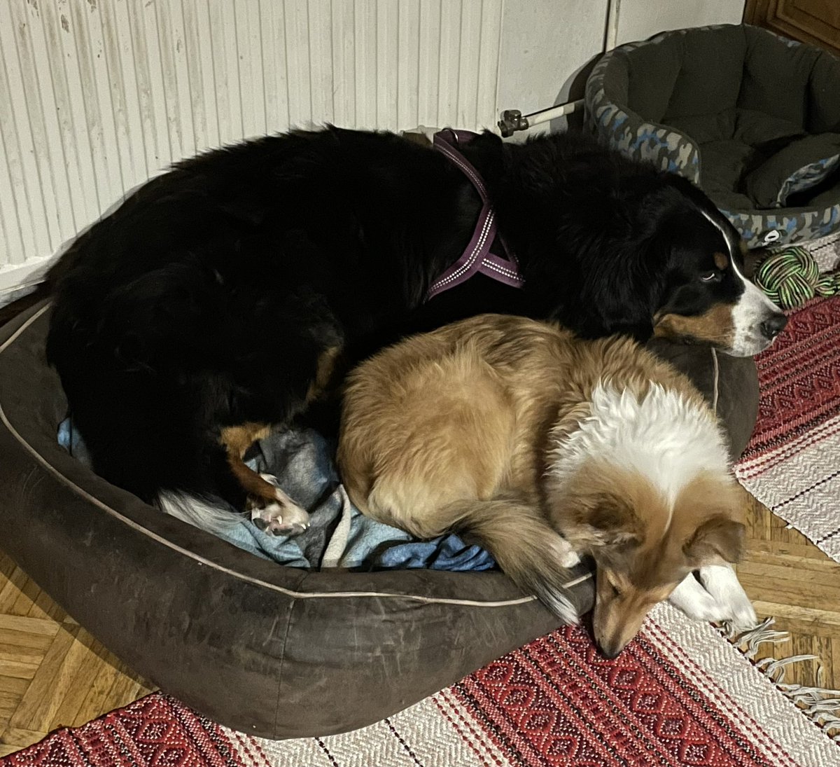 Sopu sijaa antaa😃👍