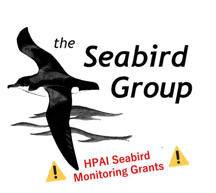 ⚠️ In light of the recent outbreak of Highly Pathogenic Avian Influenza (#HPAI), we are launching a one-off emergency funding scheme to provide grants to support volunteers to undertake targeted #seabird surveys ⚠️

More info🧵👇

Deadline: 19th March
seabirdgroup.org.uk/grants