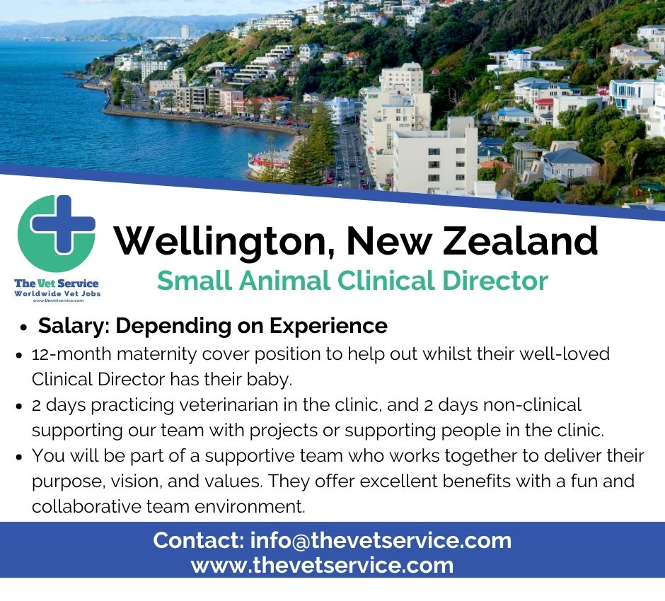 12-Month Maternity Cover for a Small Animal Clinical Director in Wellington, New Zealand! 🐶

thevetservice.com/vet-jobs-new-z…

#thevetservice #vetstudents #vet #veterinarymedicine #veterinarysurgeon #vetlifestyle #vetlife #vetlocum #vetjob #vetjobs