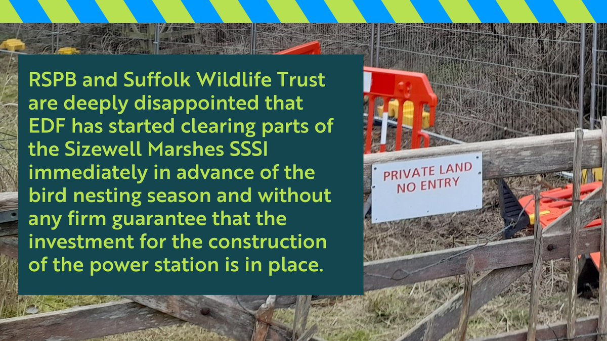 RSPB and @suffolkwildlife are deeply disappointed that @edfenergy has started clearing parts of the Sizewell Marshes SSSI immediately in advance of the bird nesting season & without any firm guarantee that the investment for the construction of the power station is in place.