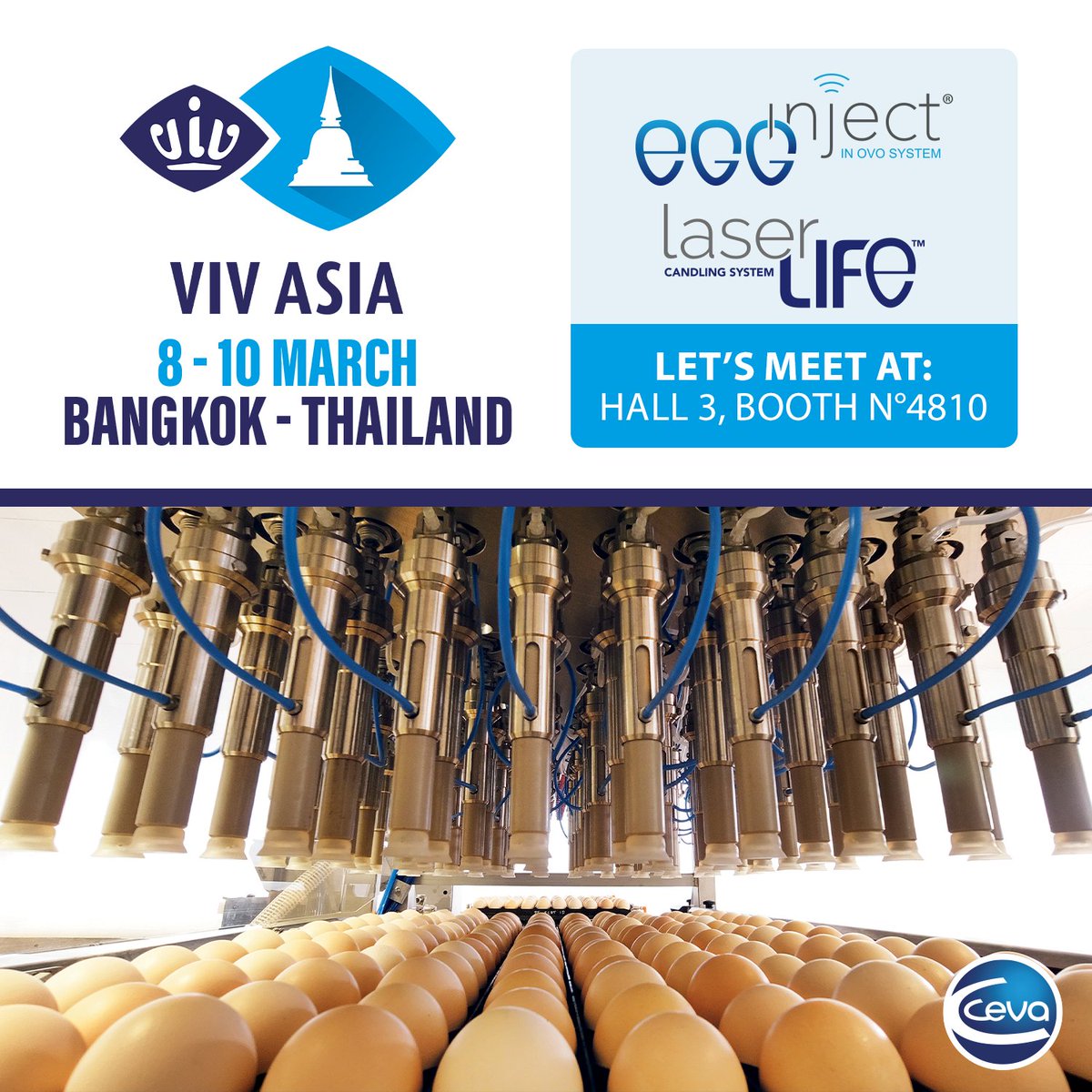 PoultryCeva's tweet photo. 🥚The Ideal In Ovo Process - Come and discover our #InOvo solutions during #VIVASIA Bangkok which is just around the corner!
🎤 Meet our dedicated Equipment team at Booth 4810, in Challenger HALL 3!
#idealinovo #poultryinnovation @VIVworldwide https://t.co/MkXhbqzvoz