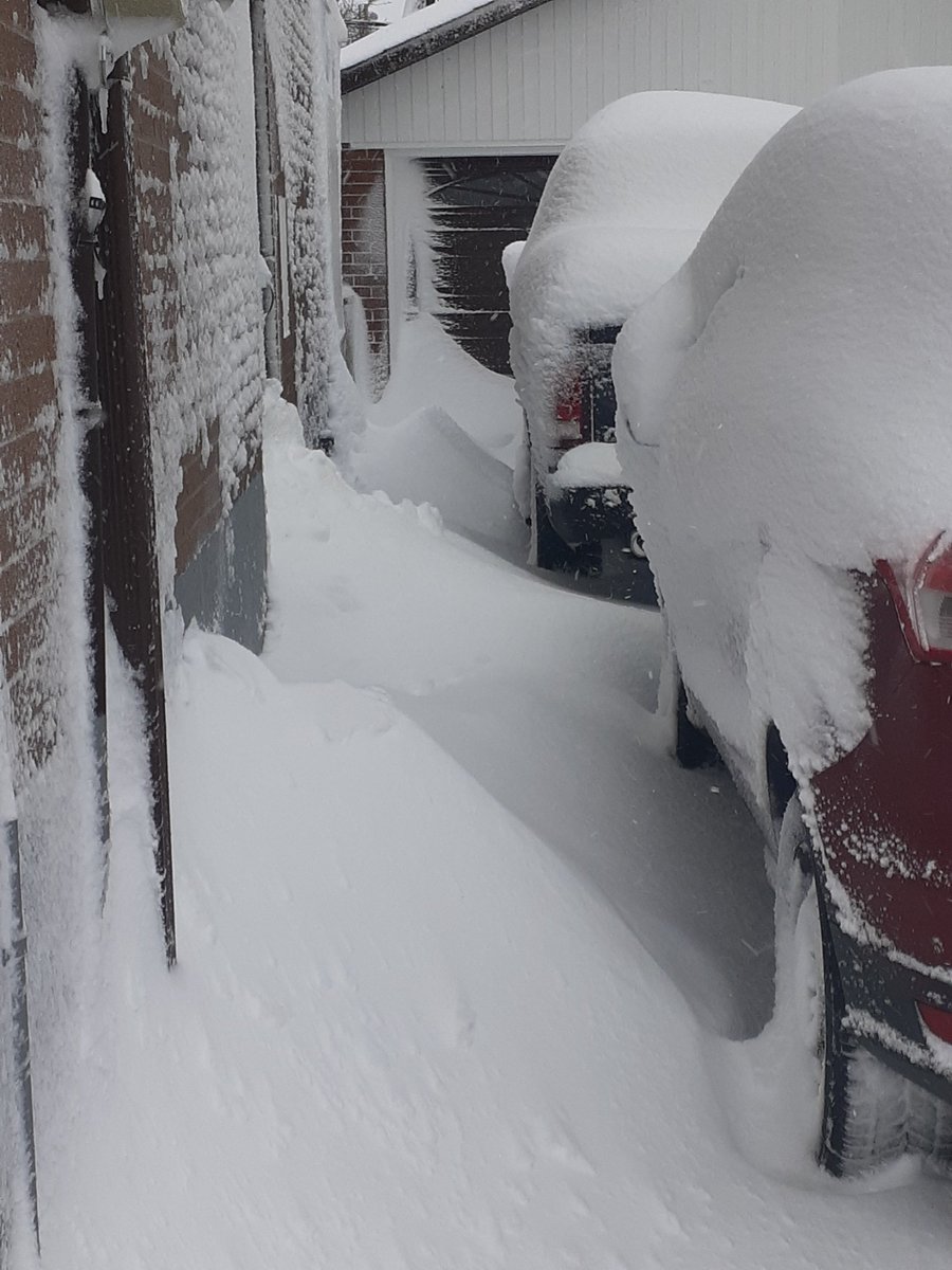 arvopi's tweet photo. @CP24Breakfast Been living at this house all my life 67 years and When I got married some of our wedding money was ear marked for a snow blower to which my wife Kinda objected to but I told her listen I've lived here all my life we need a snow blower driveway is 125 ft long https://t.co/Oc6tbqszTb