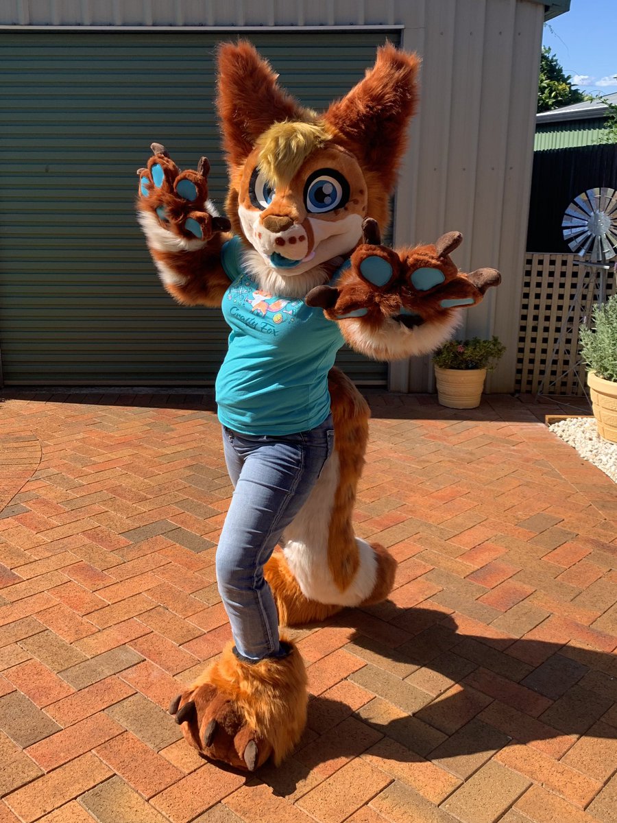 LupeSuits's tweet photo. Asher the Lynx says hello! 🐈 💙 https://t.co/36nzkDvTts