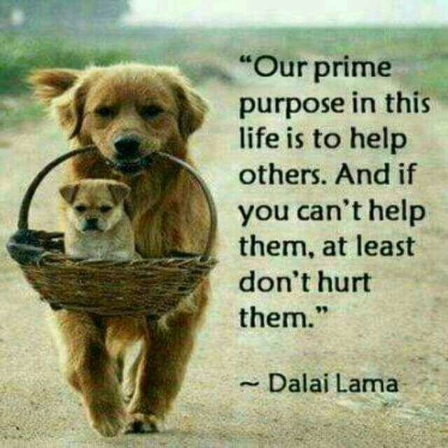 Vn Tzims tweet media