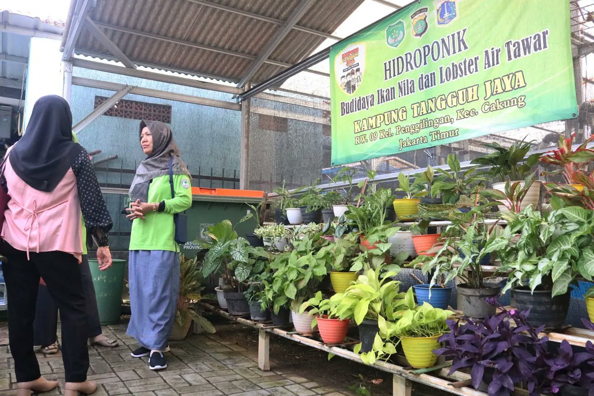 dinaslhdki's tweet photo. Kekompakan warga dan pengurus RW 09 Penggilingan, Jakarta Timur mengantarkan RW ini menerima Penghargaan Program Kampung Iklim (Proklim) Utama dari Kementerian Lingkungan Hidup dan Kehutanan Republik Indonesia. 

#dkijakarta #proklim
https://t.co/ju9wc5P5Mv https://t.co/OTYiyXCMum