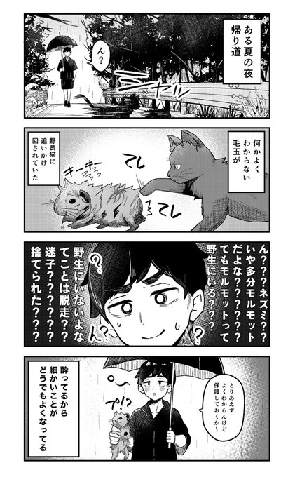 #作家は経験したことしか書けない
今もけだまは元気です 
