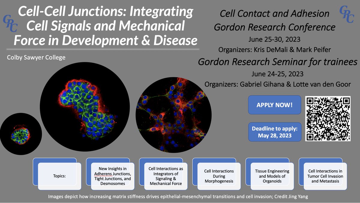 Mark Peifer (@peiferlabunc) on Twitter photo <a href="/GordonConf/">Gordon Research Conferences</a>'s are an amazing place to present your work, catch up on the latest in the field & network with colleagues in an intimate setting. If you love cell adhesion, the cytoskeleton, how cells change shape & move during development & cancer join us this summer Pls RT 1/n <a href="/GordonConf/">Gordon Research Conferences</a>'s are an amazing place to present your work, catch up on the latest in the field & network with colleagues in an intimate setting. If you love cell adhesion, the cytoskeleton, how cells change shape & move during development & cancer join us this summer Pls RT 1/n