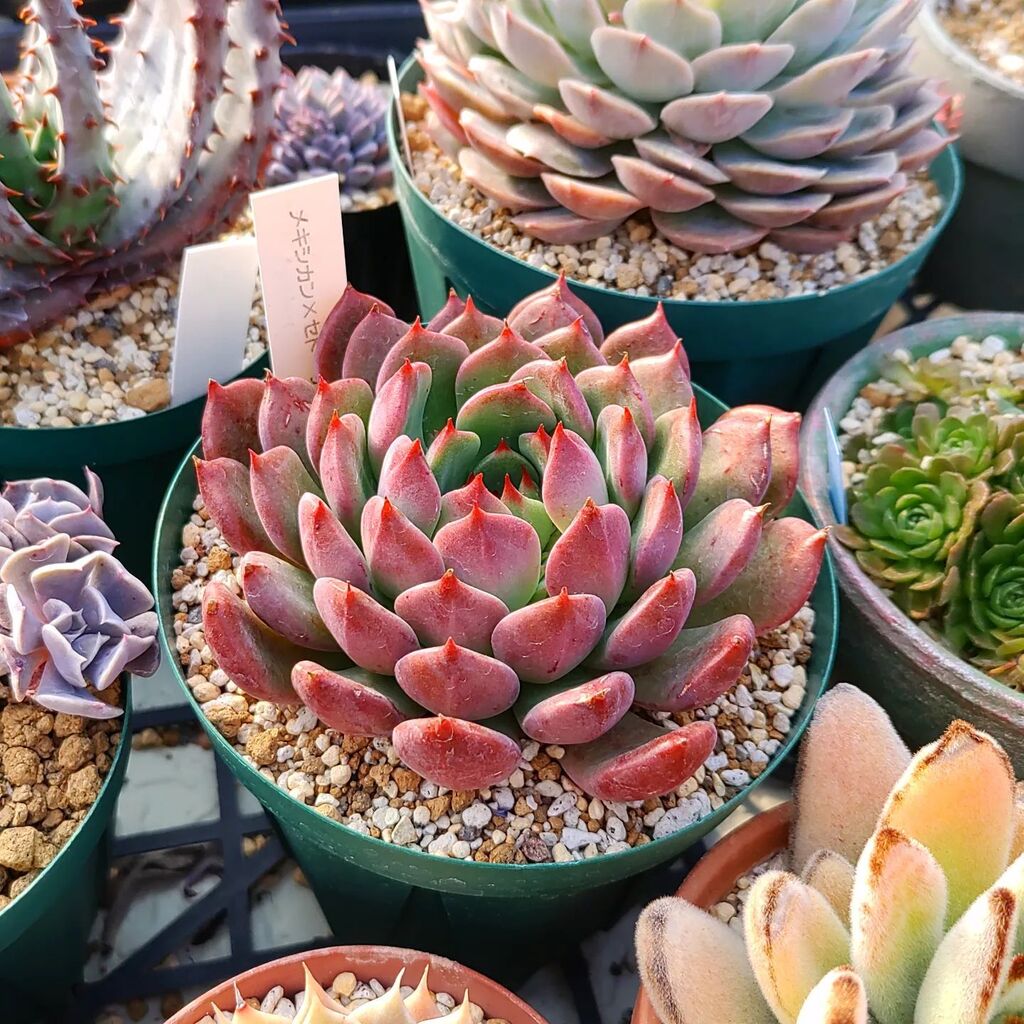 sunny spot (@HMayo1201) / Posts / X