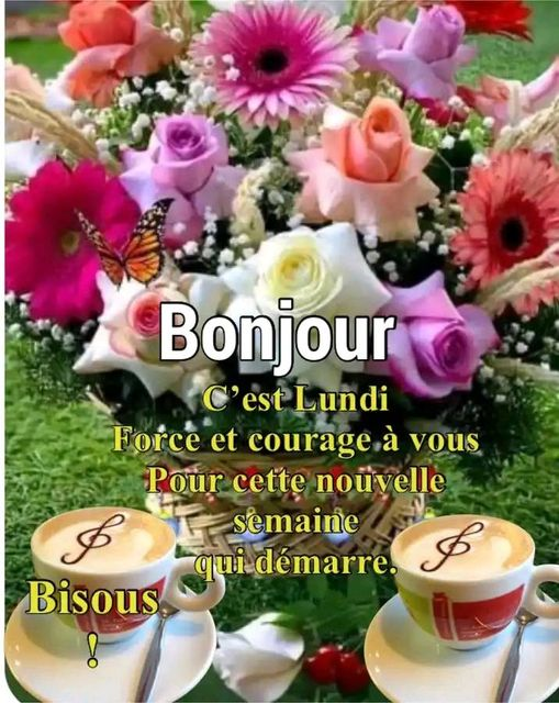 MartineLibolt's tweet photo. Ty to everyone who wished me a nice day💖 https://t.co/FLGxRjG5AR