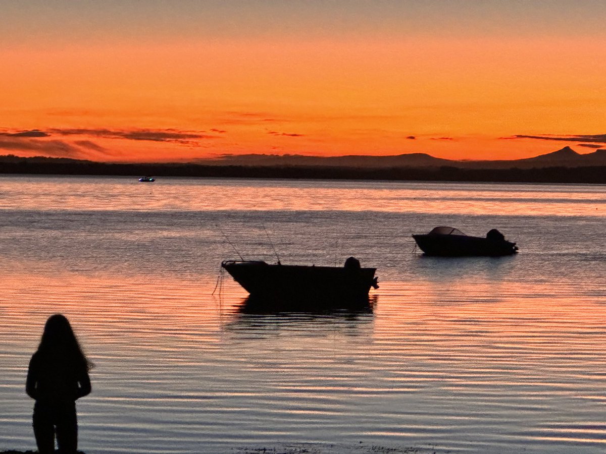 phil seymour tweet media