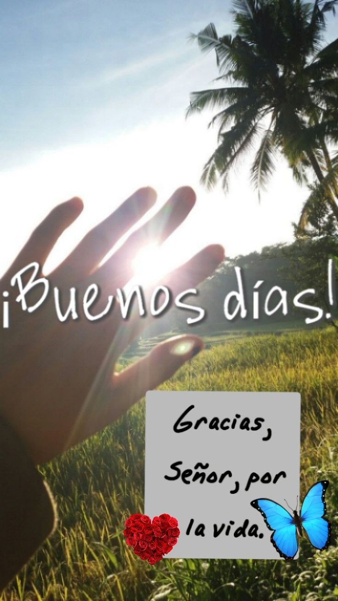 Feliz Lunes 💐💐 #SomosLosDeChávez
@EnanaGorda1 @Joelcolina201
@jesus37233 @Jonatha718
¡Que tengas un feliz y aventurero día!