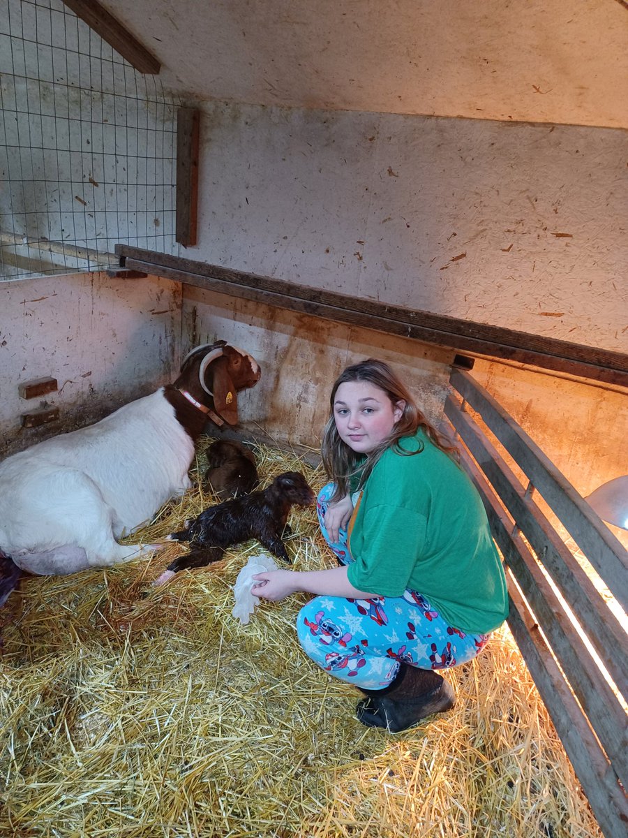 PearsonWampler's tweet photo. #farmlife 4 a.m. delivery...twins...school... Ivy Tech...all in a days work! https://t.co/O4xw2cvkr5
