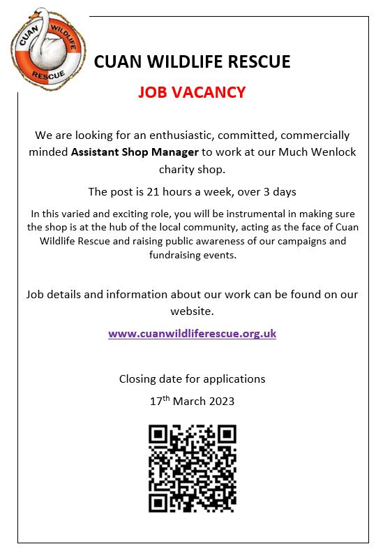 CuanWildlife's tweet photo. We are hiring an Assistant Shop Manager at our Much Wenlock Charity Shop
Closing date for applications - Friday 17th March 2023
Interview date - Wednesday 29th March 2023
Plese click on the link for more details
https://t.co/MS4OblXaSU
#wearehiring #charityshop #shopmanager https://t.co/lceILRnqG6